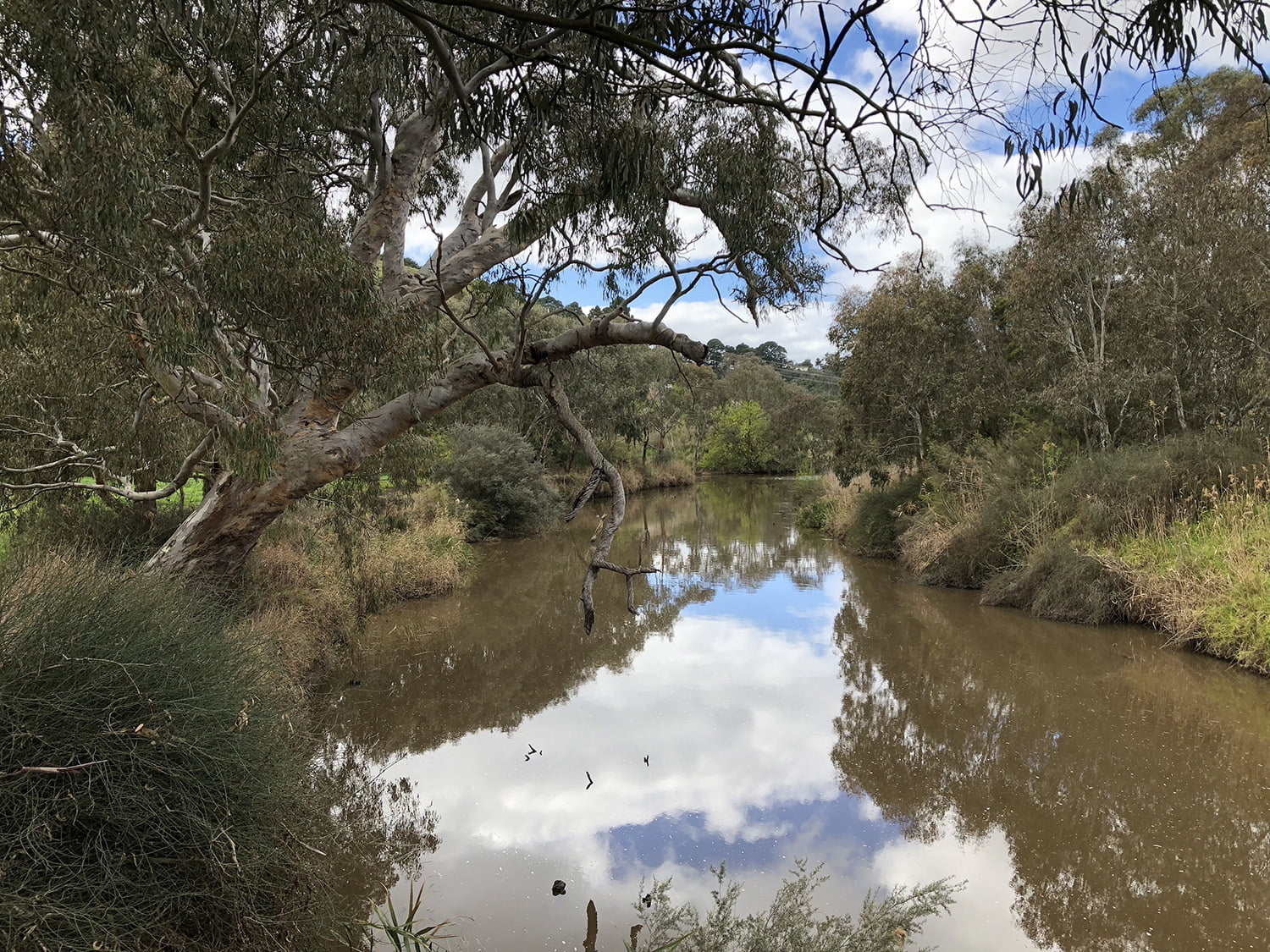 Twinning Tour of the Barwon River - View of the Barwon River through Geelong (3 Sep 2018). Photo credit: Trent Wallis