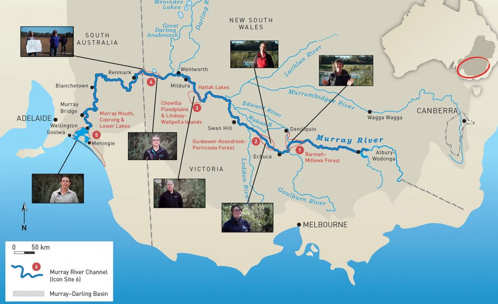 This shows the Living Murray Icon sites and the locations of the site managers for the videos produced under this project. Two site managers were not available to be interviewed as part of this project: Barmah Forest and the NSW part of the Chowilla Floodplain. Future videos are planned for these site managers.